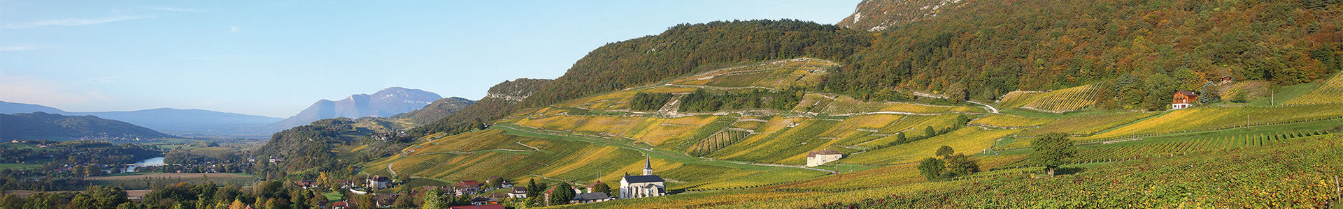 La Cave du Prieuré