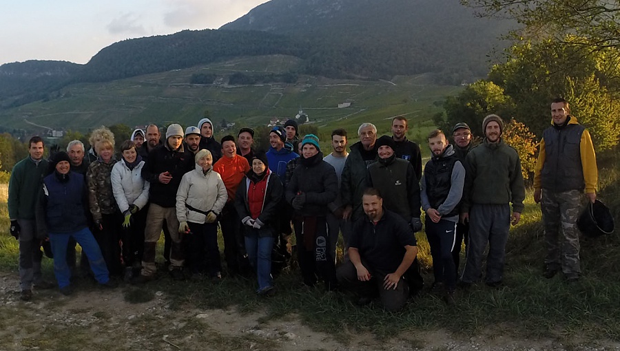 Vendanges 2017