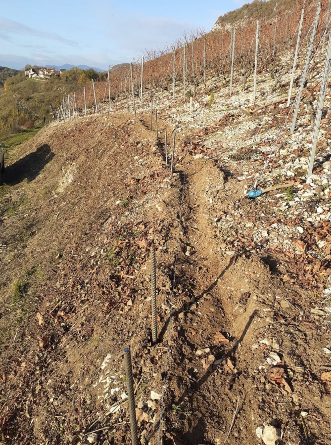 Aménagement des parcelles dans le coteau de Marestel 