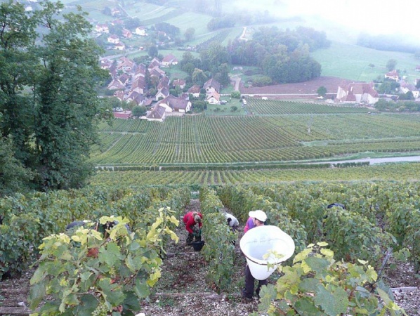 Vue plongeante sur le hameau de Jongieux le Bas