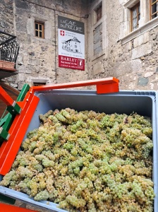 réception des caisses de crémant à la cave 
